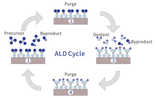 ALD-Cycle